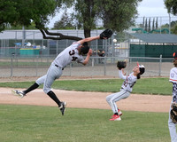 LLL Giants @ LLL Expos - Livermore Showdown