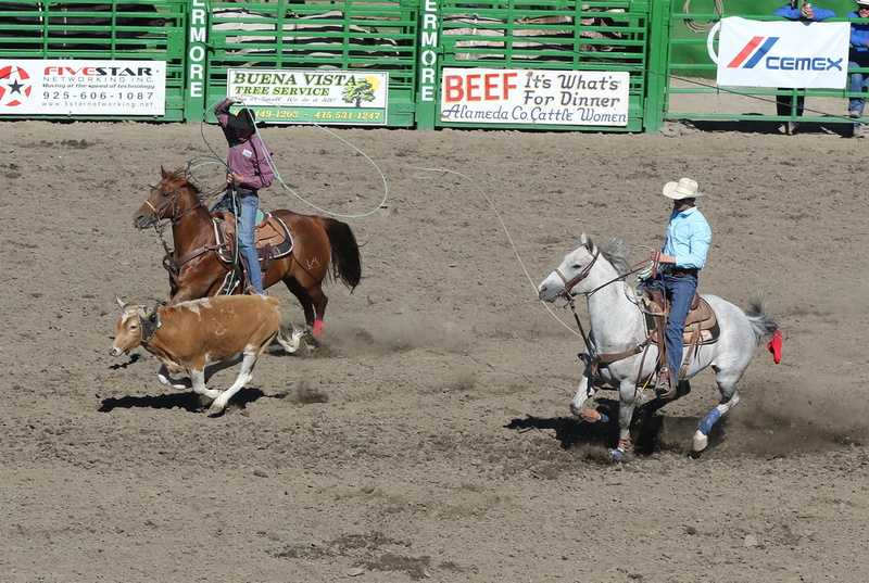 Prca Team Roping Standings 2025 Faythe Lilian